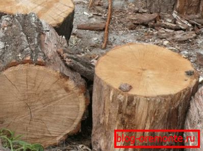 Uferart Holz Uferart Holz