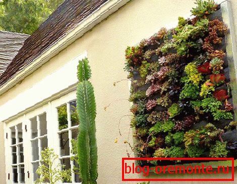 Teilweise vertikale Gartenarbeit