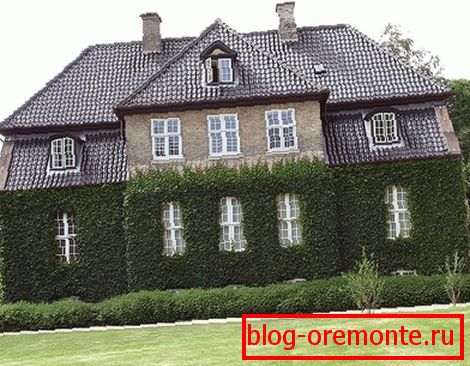 Vegetation an der Fassade