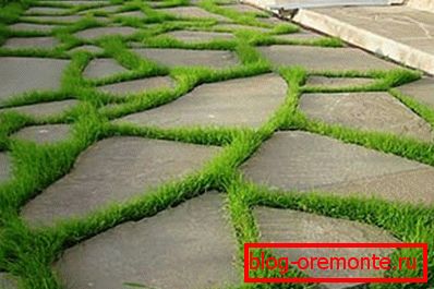 Foto einer attraktiven Beton- und Grasbeschichtung Foto einer attraktiven Beton- und Grasbeschichtung