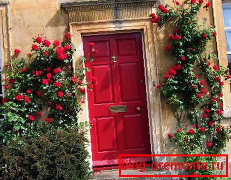 Rote Rosen an der Haustür