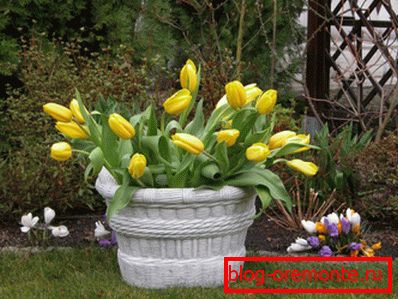 Auf dem Foto - ein Betonbett im Garten Auf dem Foto - ein Betonbett im Garten