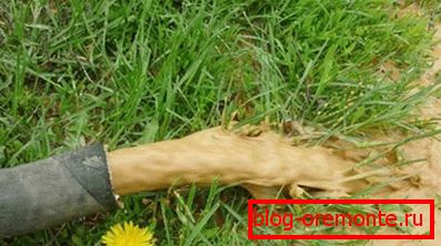 Trübes Wasser abgepumpt, bis eine stabile transparente Flüssigkeit erscheint. Trübes Wasser abgepumpt, bis eine stabile transparente Flüssigkeit erscheint.