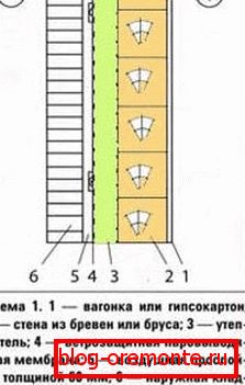 Schematisch dargestellte Schichten beim Erwärmen der Stammwände Schematisch dargestellte Schichten beim Erwärmen der Stammwände