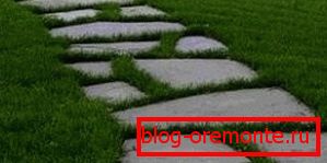 Gras, das den Zementweg überquert, verbessert die Harmonie mit dem Garten Gras, das den Zementweg überquert, verbessert die Harmonie mit dem Garten